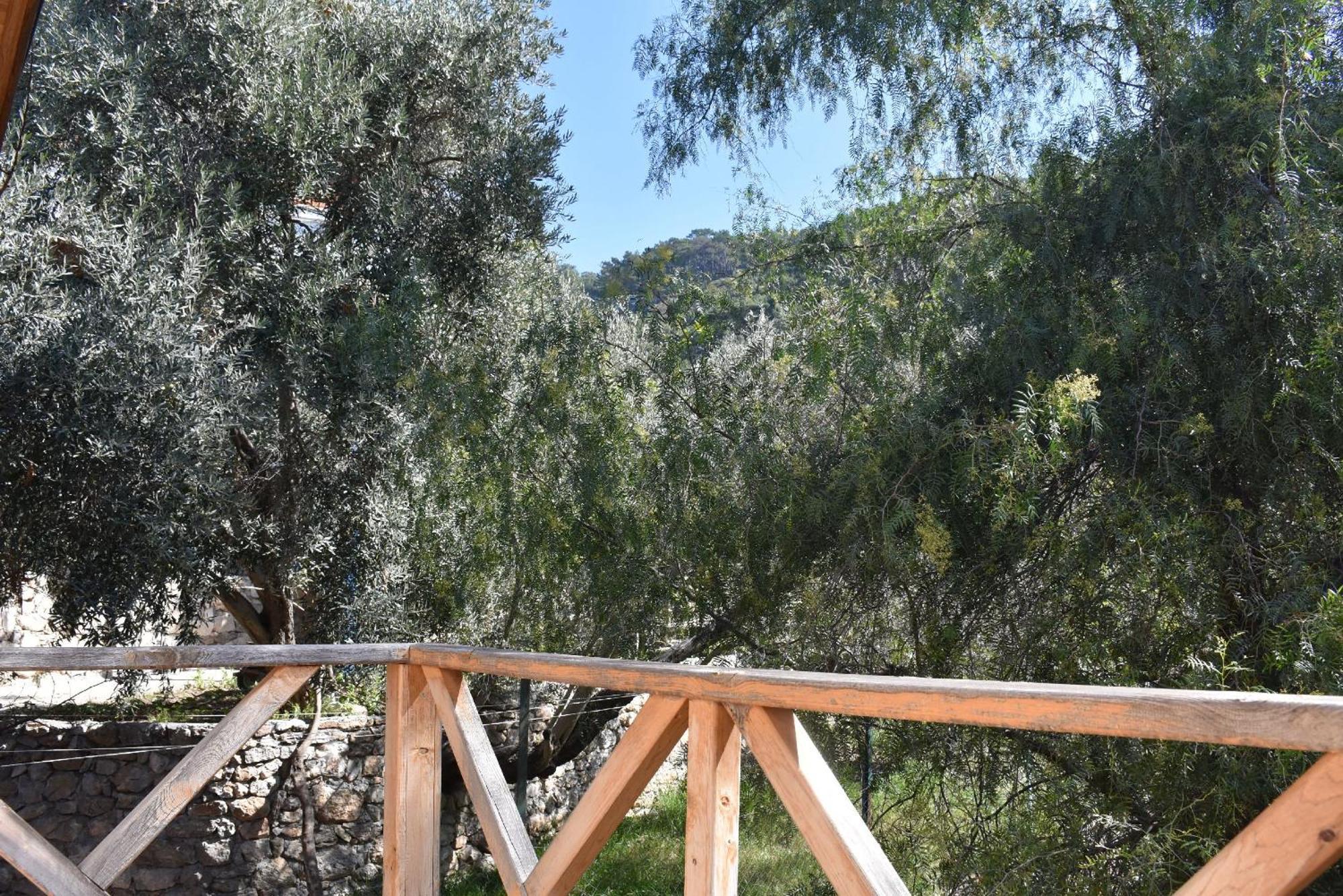 Casa Roja Leilighet Cedit Rom bilde
