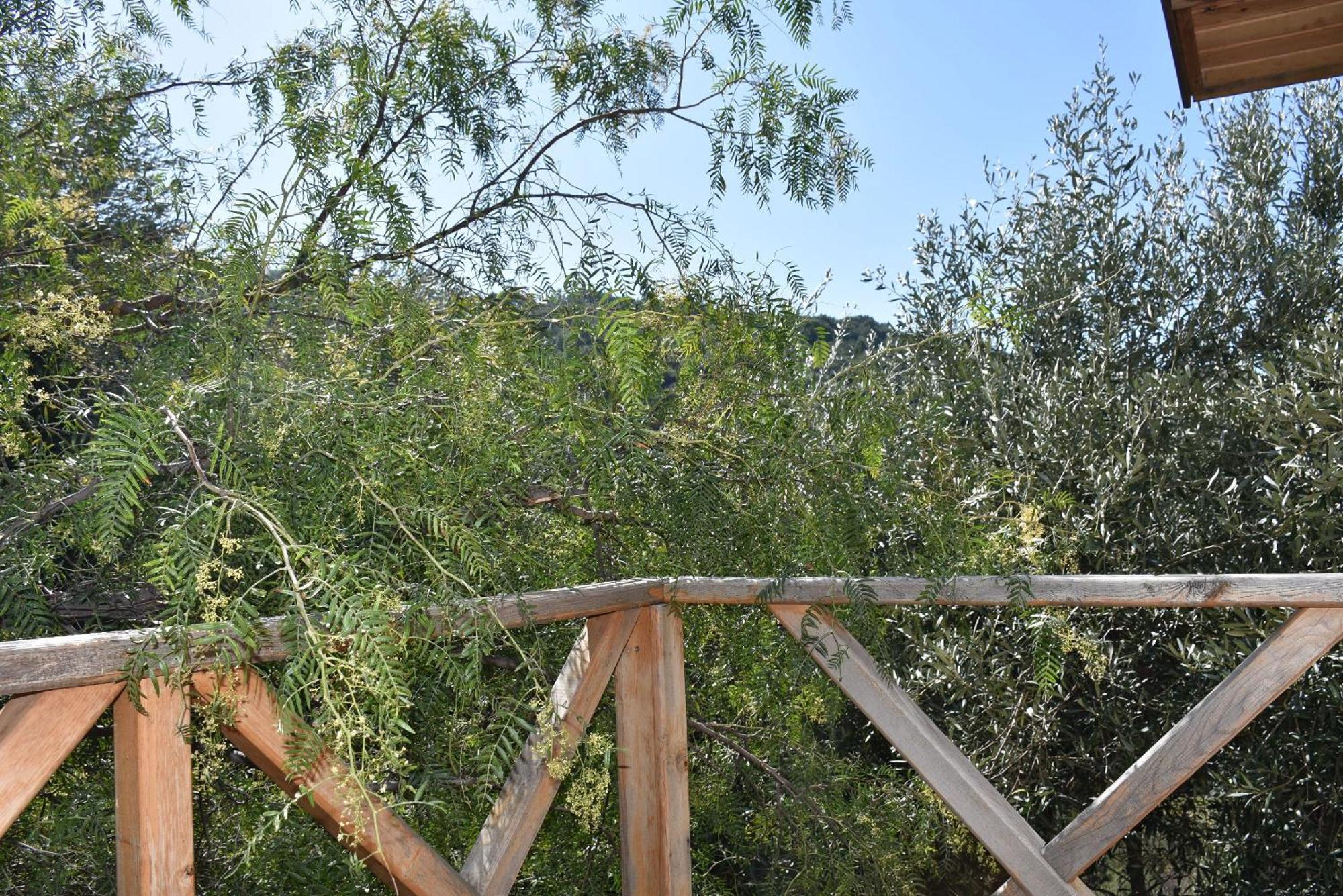 Casa Roja Leilighet Cedit Rom bilde